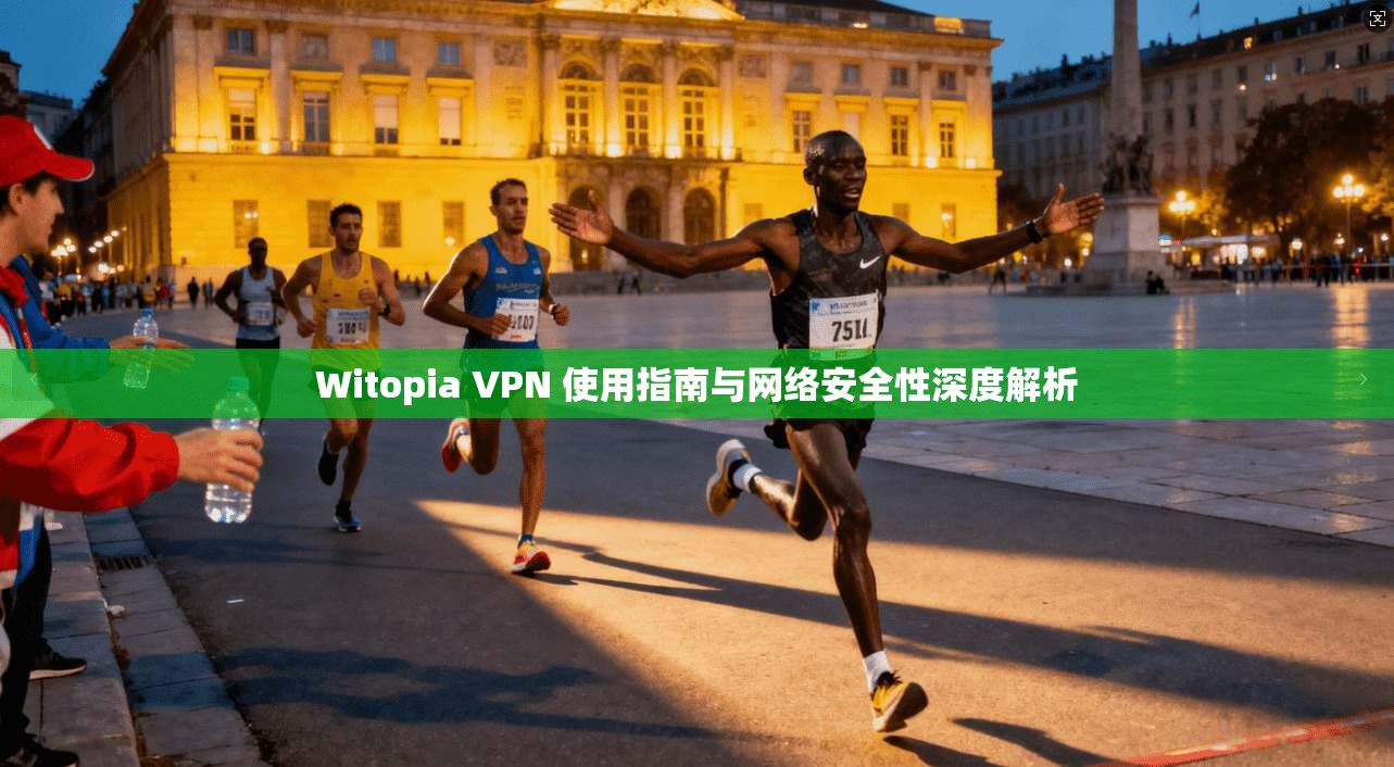 Witopia VPN 使用指南与网络安全性深度解析