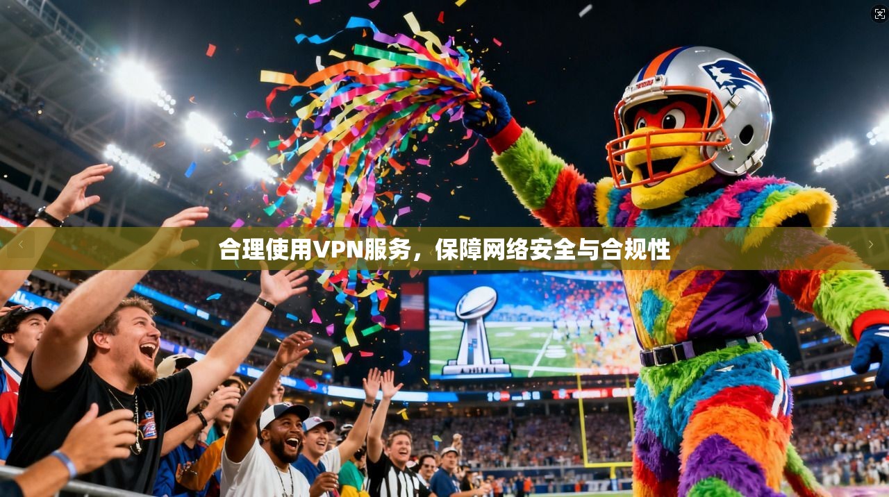 合理使用VPN服务,保障网络安全与合规性