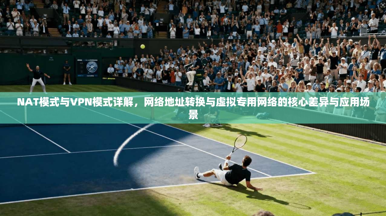 NAT模式与VPN模式详解，网络地址转换与虚拟专用网络的核心差异与应用场景