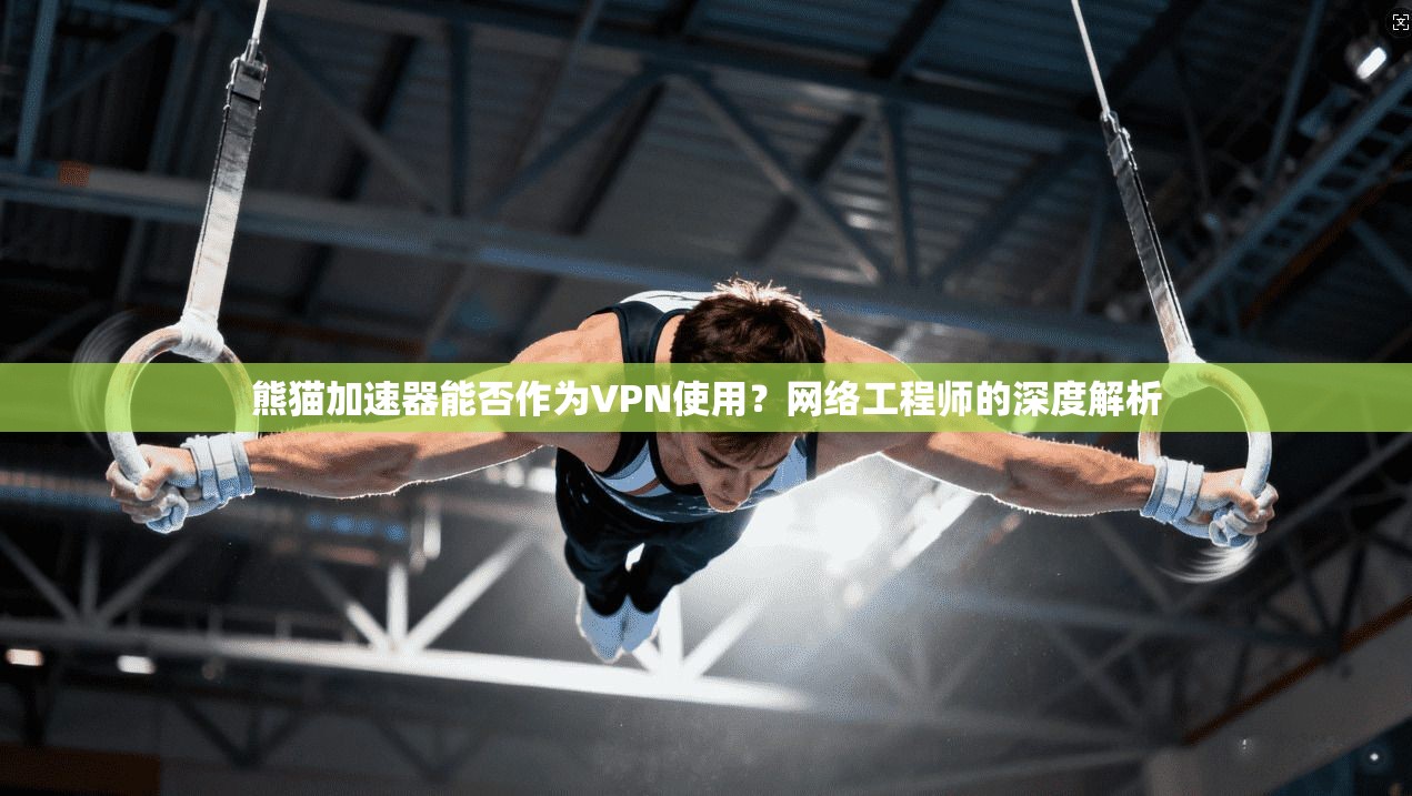 熊猫加速器能否作为VPN使用?网络工程师的深度解析