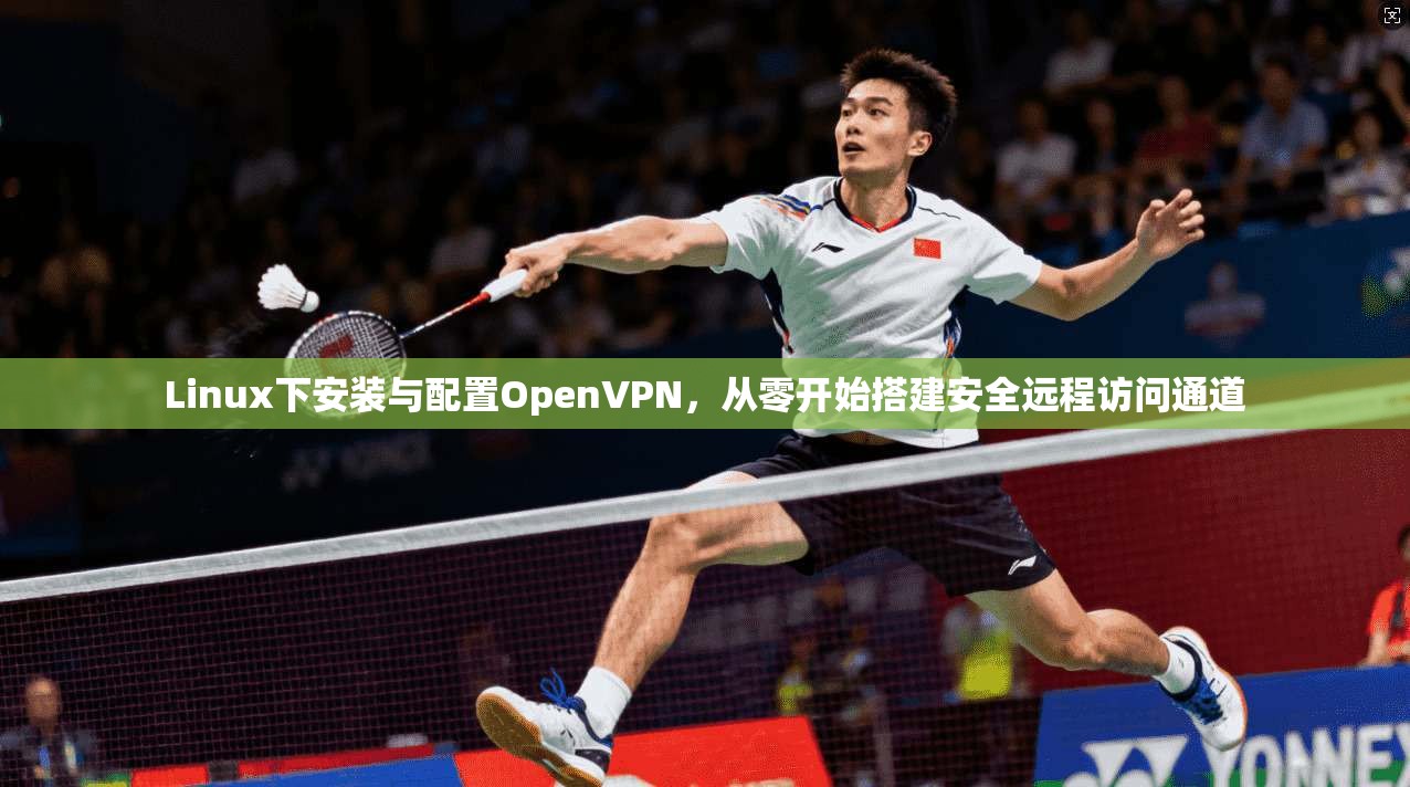 Linux下安装与配置OpenVPN,从零开始搭建安全远程访问通道