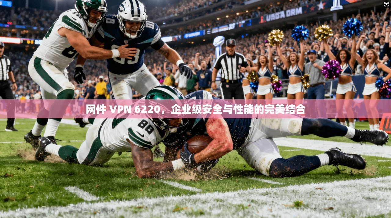 网件 VPN 6220,企业级安全与性能的完美结合