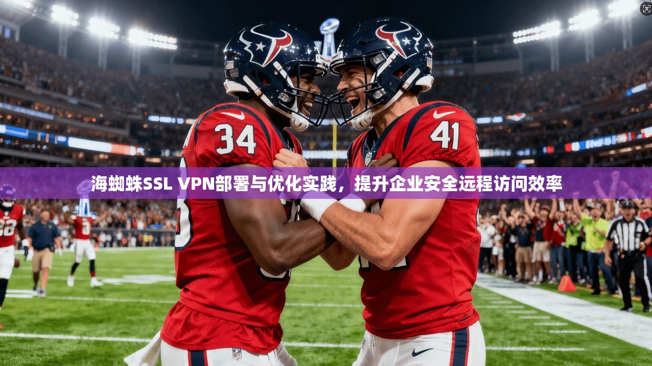 海蜘蛛SSL VPN部署与优化实践，提升企业安全远程访问效率
