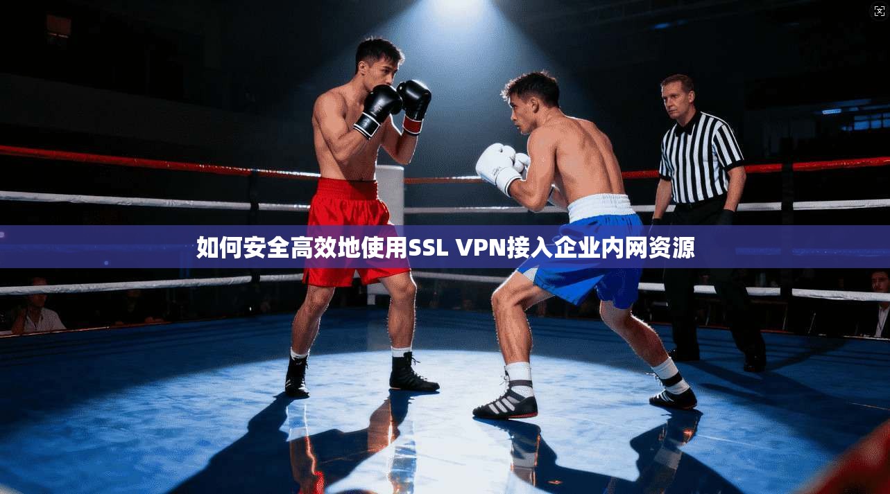 如何安全高效地使用SSL VPN接入企业内网资源