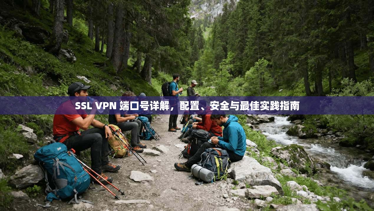 SSL VPN 端口号详解,配置、安全与最佳实践指南