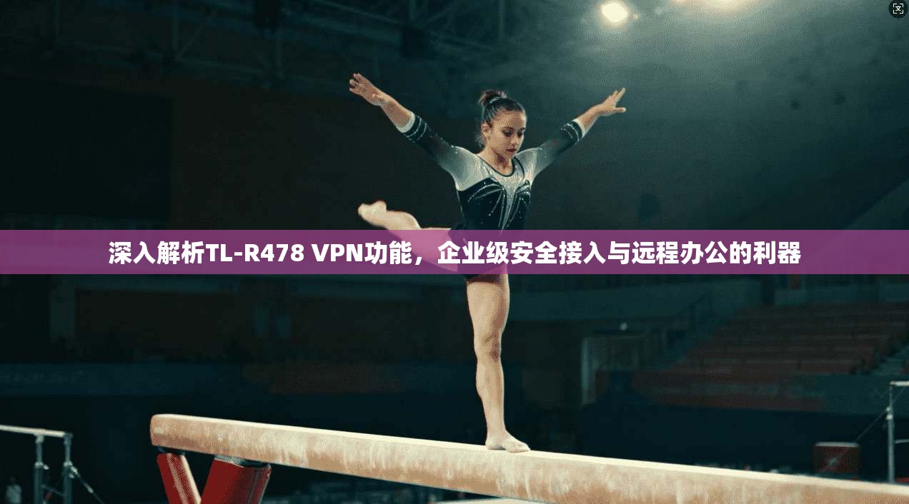 深入解析TL-R478 VPN功能，企业级安全接入与远程办公的利器