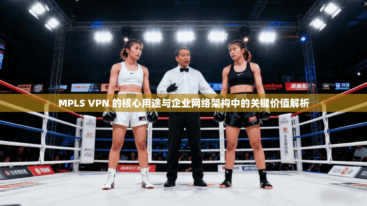 MPLS VPN 的核心用途与企业网络架构中的关键价值解析