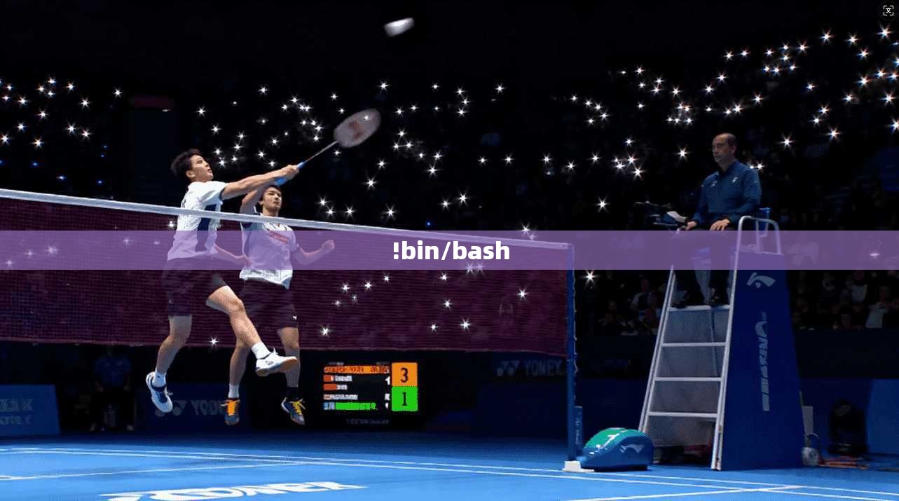 !bin/bash