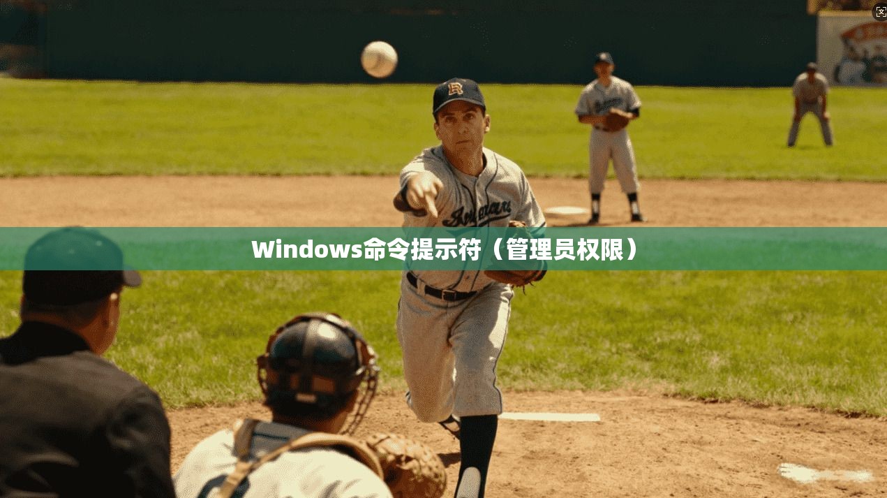 Windows命令提示符（管理员权限）