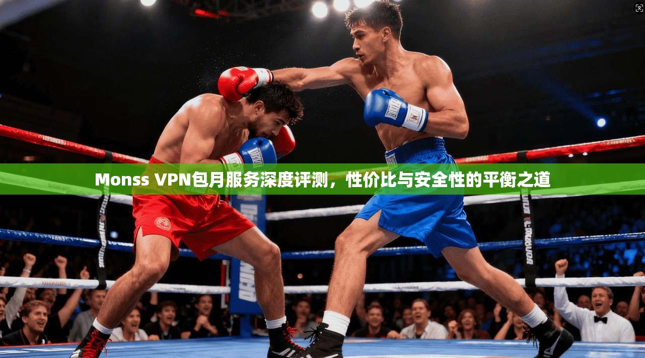 Monss VPN包月服务深度评测,性价比与安全性的平衡之道