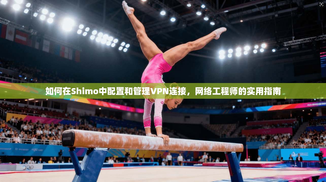 如何在Shimo中配置和管理VPN连接，网络工程师的实用指南