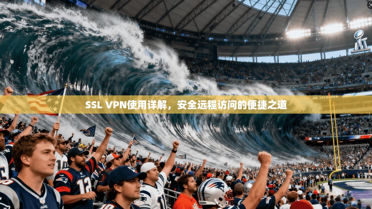 SSL VPN使用详解，安全远程访问的便捷之道