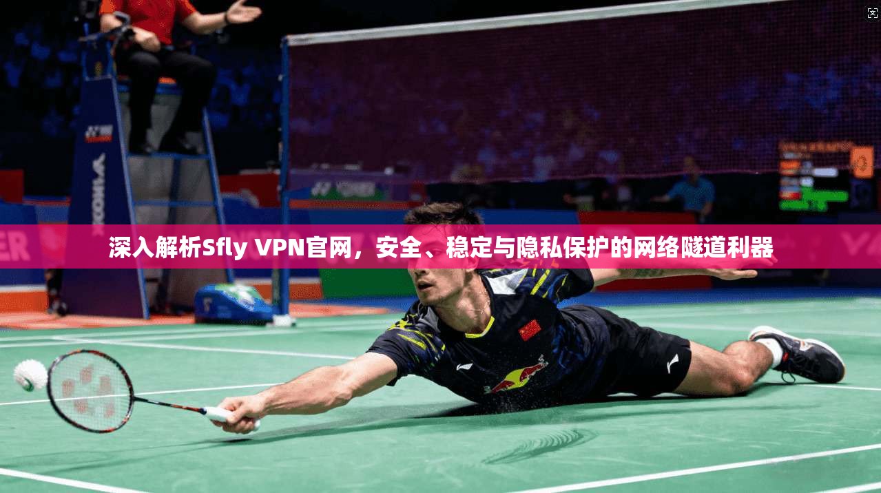 深入解析Sfly VPN官网，安全、稳定与隐私保护的网络隧道利器