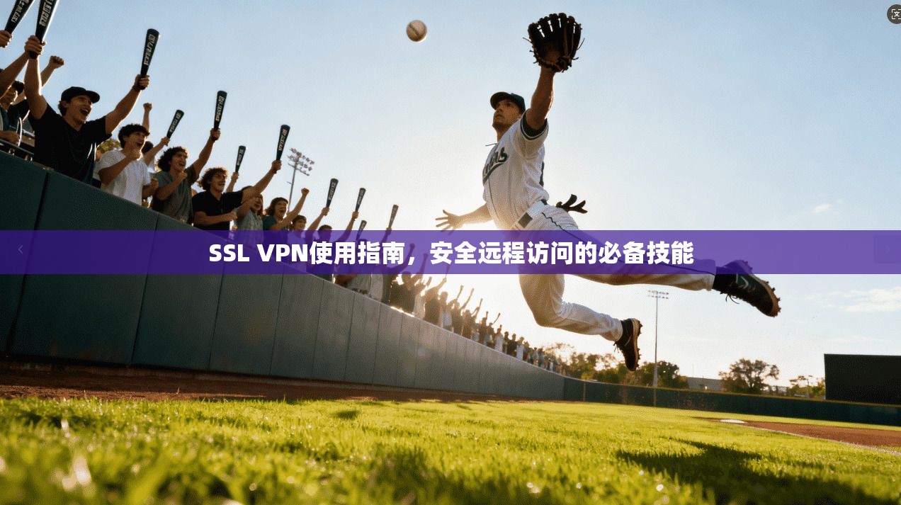 SSL VPN使用指南，安全远程访问的必备技能